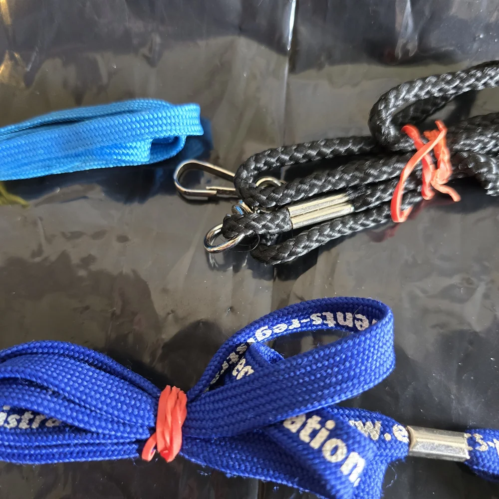 Assorted Lanyards and Clips